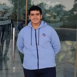 Mahmoud Nadi Ahmed-Freelancer in ,Egypt