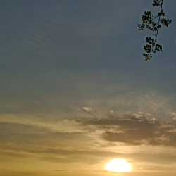 Bibi Taslima-Freelancer in Dhaka,Bangladesh