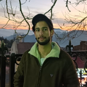 Himanshu-Freelancer in Shimla,India