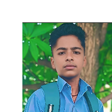 Nitesh Kumar Malik-Freelancer in Tanaka,India