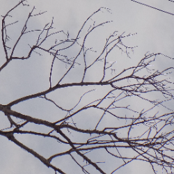 Agni Banerjee-Freelancer in Kolkata,India