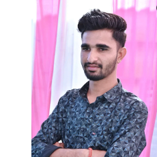 Mahaveer Singh-Freelancer in Nathawatpura,India