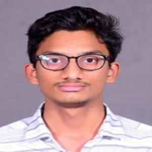 Basani Ananth-Freelancer in Hanamkonda,India