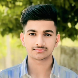 Mr Sakeem-Freelancer in Yamuna Nagar,India