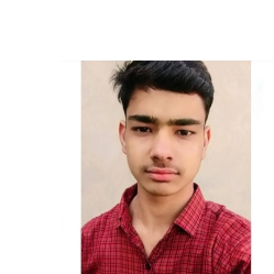 Mukesh Jangir-Freelancer in Hanumangarh,India