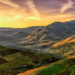 Rachael Ketch-Freelancer in Nairobi,Kenya