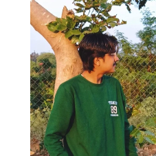 Rishav Roy-Freelancer in Kolkata,India