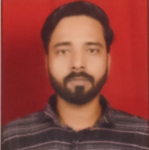 Ankush Kamat-Freelancer in Noida,India