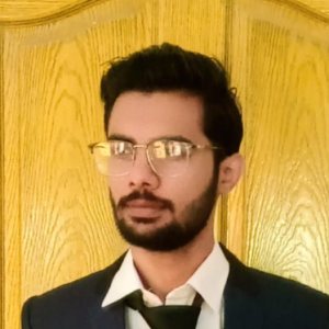 Hasham Hussain-Freelancer in Karachi,Pakistan