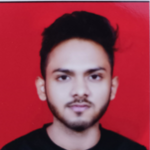 Sidhant Nandanwar-Freelancer in Nagpur,India
