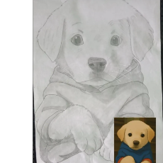 Komal Soni-Freelancer in Kanpur,India