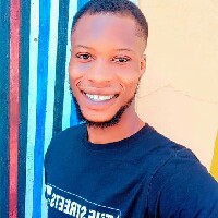 Blinks cina-Freelancer in New York city,Nigeria