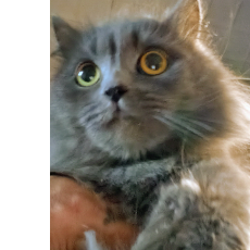 Діма -Freelancer in Zhytomyr,Ukraine