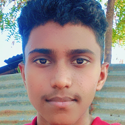 Bittu. Srinath-Freelancer in Hyderabad,India