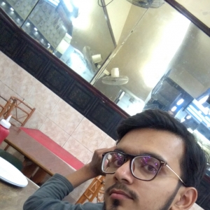 Ali Hamza-Freelancer in Karachi,Pakistan
