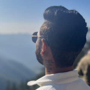 Ashish Thakur-Freelancer in Sahibzada Ajit Singh Nagar,India