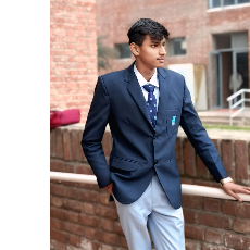 Deepanshu Mittal-Freelancer in Sahibzada Ajit Singh Nagar,India