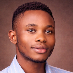 Wele Bukunmi-Freelancer in Abuja Municipal Area Council,Nigeria