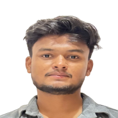 Mohd Laraib Ansari-Freelancer in Sitapur,India