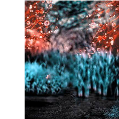 Md Arif Hasan333-Freelancer in Dhaka,Bangladesh