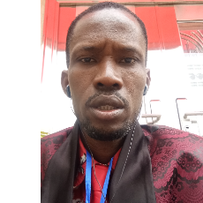 David Momoh-Freelancer in Abuja,Nigeria