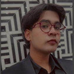 Himanshu Kumar-Freelancer in Delhi,India