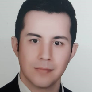 Hamid Hatami-Freelancer in Istanbul,USA