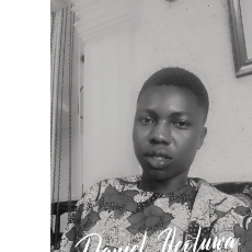 Daniel Ifeoluwa-Freelancer in Akure,Nigeria