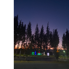 Sude Deniz Arslan-Freelancer in Istanbul,Turkey