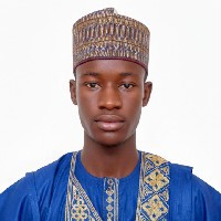 Muhammad Ahmad Usman-Freelancer in Dawakin Kudu, Kano, Nigeria,Nigeria