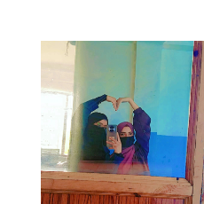 Uzma Maqbool-Freelancer in Batahar,India