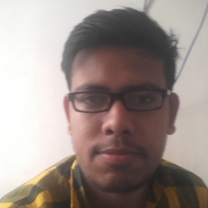 Lokesh Kumar-Freelancer in Dehradun,India