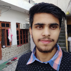 Bhanu Sharma-Freelancer in Chandigarh,India