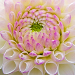 Bhavya Pandey-Freelancer in Bhopal,India