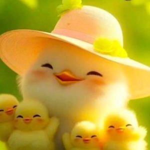 Ghani Ramzan-Freelancer in Bhera,Sargodha,Pakistan