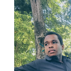 Iverson Lee-Freelancer in Port-au-Prince,Haiti