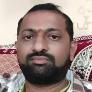 Eleshwaram Sridhar-Freelancer in Karimnagar,India