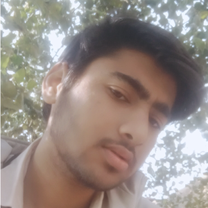 Dushyant Kumar-Freelancer in GANGANAGAR,India