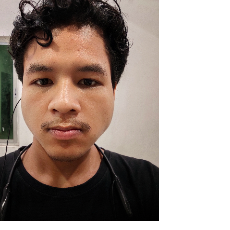 Takhellambam Nongshaba-Freelancer in Porompat,India