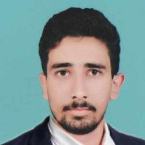 Bilawal Nabigh-Freelancer in Multan,Pakistan