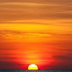 Hayden Bera-Freelancer in Port Moresby,Papua New Guinea