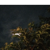 Sajid Rayhan-Freelancer in Dhaka,Bangladesh