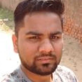 Nilesh Patel-Freelancer in Vadodara,India