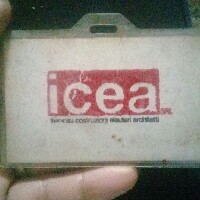 Amadeo-Freelancer in Rome,Egypt