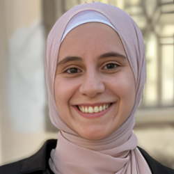 Safeya Yasien-Freelancer in Cairo,Egypt