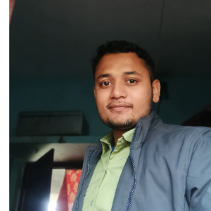 Shamsh Parvej-Freelancer in Parsa,India