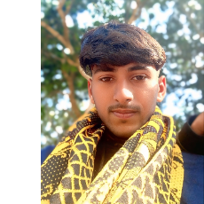 Md Nahid-Freelancer in Dinajpur,Bangladesh