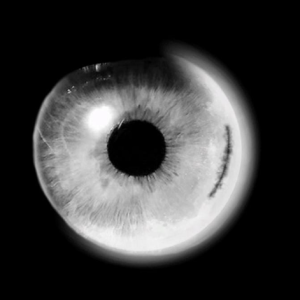 Naqaab-Freelancer in Faridabad,India