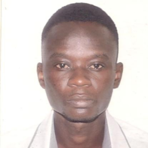 HarmoData Pro-Freelancer in Abomey Calavi,Benin