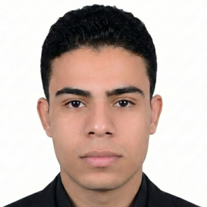 Mahmoud Kenawy-Freelancer in Luxor,Egypt